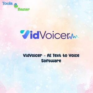 VidVoicer - AI Text to Voice Software